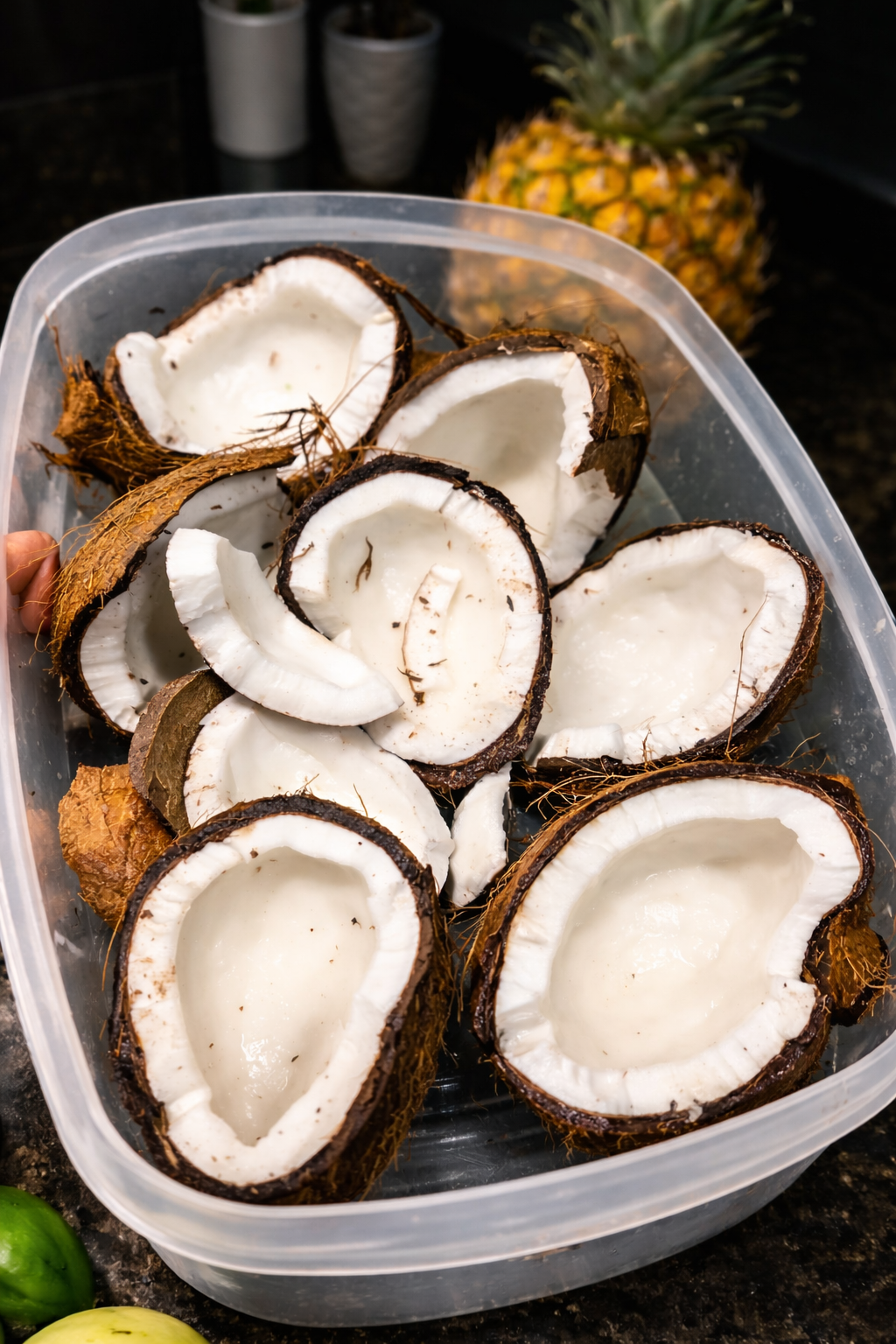 Kit de Rizos Coco, piña y Gel de Linaza –  Coconut & Pineapple Curl Kit + Flaxseed Gel 🥥🍍